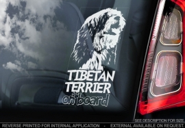 Tibetaanse Terrier - Tibetan Terrier V01
