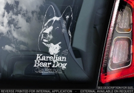 Karelische berenhond - Karelian Bear Dog V01