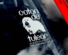 Coton de Tulear V01