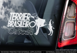 Terrier Brasileiro - Fox Paulisthina V02