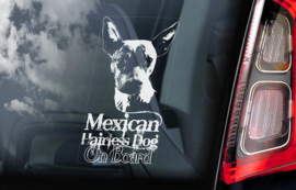 Mexicaanse Naakthond - Xoloitzcuintle - Mexican Hairless Dog V01