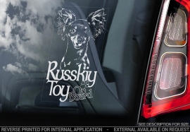 Russkiy Toy (Russische Toyterrier) V02