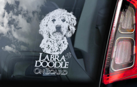 Labradoodle V01