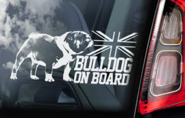 Engelse Bulldog - English Bulldog - V01
