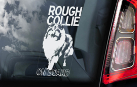 Schotse Herdershond (Collie) - Rough Collie   V01