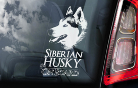 Siberische Husky V01