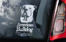 Amerikaanse Bulldog V05