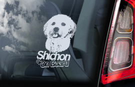 Shichon V01