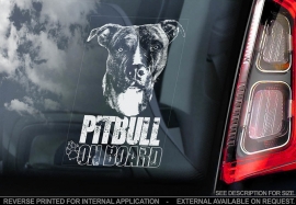 Pitbull V04