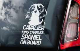 Cavelier King Charles Spaniel V01