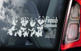 Finse Lappenhond - Finnish Lapphund V04