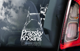 Prazsky Krysarik V01