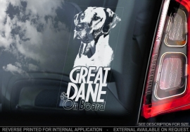Duitse Dog - Great Dane  V02