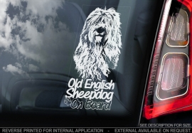 Old English Sheepdog -  Bobtail V01
