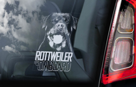 Rottweiler V06