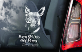 Peruaanse Naakthond  - Perro Sin Pelo del Peru - Peruvian Hairless Dog V01