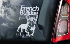 Franse Bulldog - French Bulldog - V04