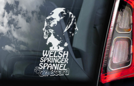 Welsh Springer Spaniel V01