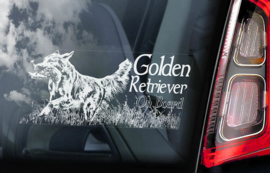 Golden Retriever V02