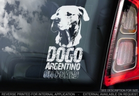 Dogo Argentino ongecoupeerd - V03
