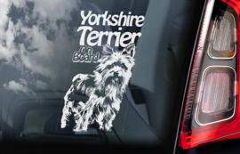 Yorkshire Terrier V02