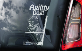 Agility Dog (Flatcoated Retriver) V01