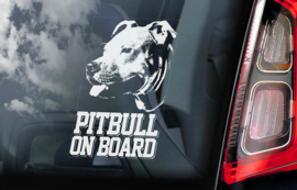 Pitbull V01