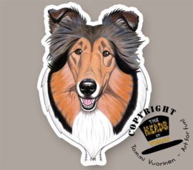 HEADS MAGNEET COLLIE SABLE