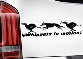 Whippet V05