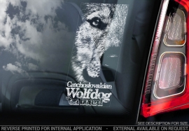 Tsjechoslowaakse Wolfhond - Czechoslovakian Wolfdog  V04