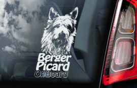 Picardische Herdershond - Berger Picard   V01