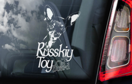 Russkiy Toy (Russische Toyterrier) V01