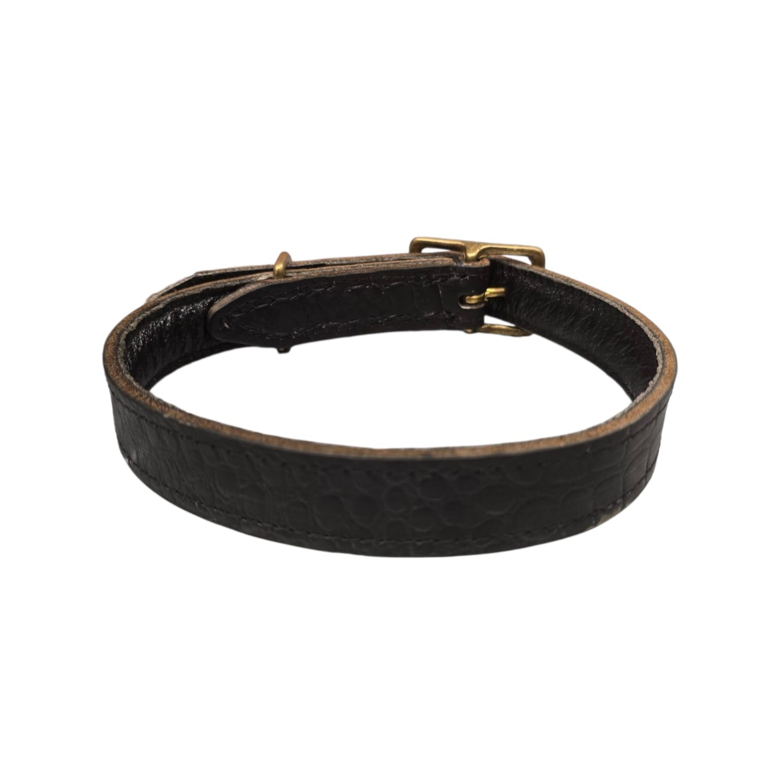 Halsband Croc Zwart Messing (uitlopend)