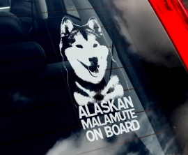 Alaskan Malamute V01