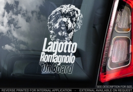 Lagotto Romagnolo V01