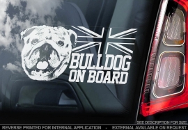 Engelse Bulldog - English Bulldog - V03