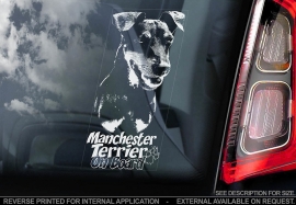 Manchester Terrier V02