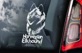 Norwegian Elkhound V02