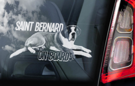 Sint Bernard - Saint Bernard V02