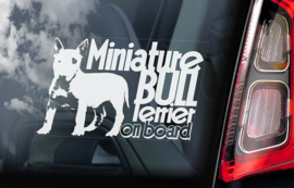 Bull Terrier Miniature V01