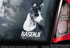 Basenji V02