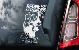 Berner Sennenhond - Bernese Mountain Dog V01