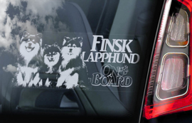 Finse Lappenhond - Finnish Lapphund - Finsk Lapphund V02