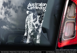 Australian Cattle Dog V04