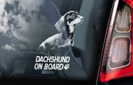 Dashond korthaar -  Dachshund  -V01