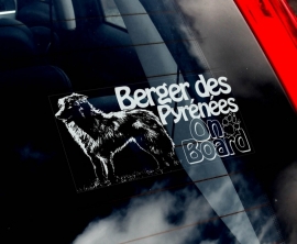 Pyreneese Herdershond  - Berger de Pyrenese - Pyrenean Shepherd  V01