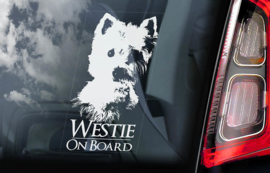 West Highland White Terrier (Westie) V01