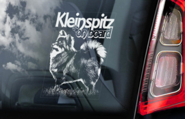 Kleine Keeshond - Klein Spitz V01