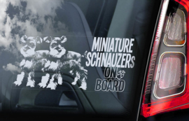 Dwerg Schnauzer - Miniature Schnauzer V06