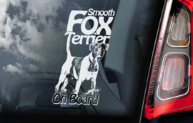 Fox Terrier gladhaar -  Fox Terrier Smooth V01